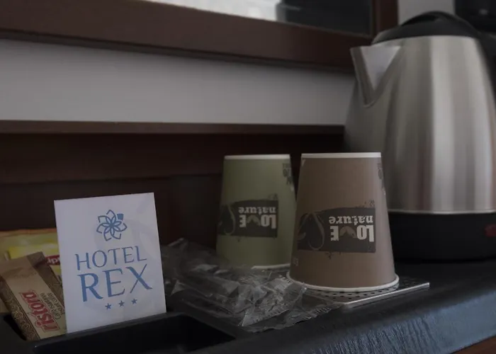 Hotel Rex Rimini